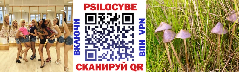 Псилоцибиновые грибы Magic Shrooms darknet наркотические препараты Эртиль купить цена